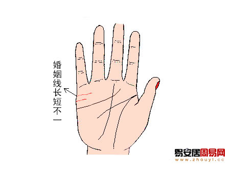 婚姻線長短不一