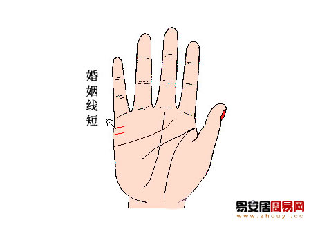 婚姻線短