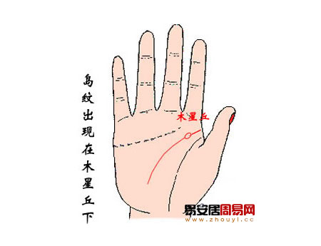智慧線島紋