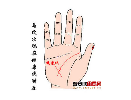 圖解智慧線島紋