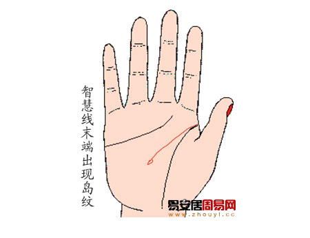 圖解智慧線有島紋