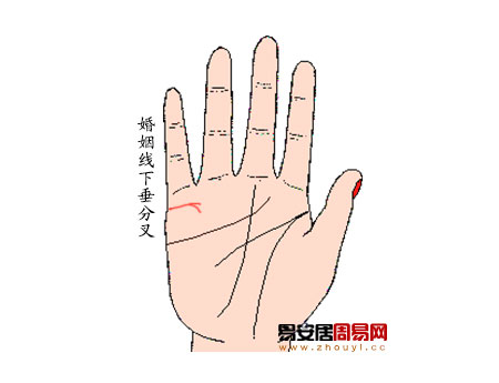 婚姻線下垂有分叉 