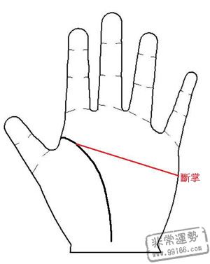 女人手相圖解,女人手相算命圖解,女人手相分析