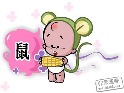 生肖愛情,好男人,生肖網