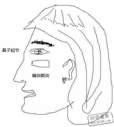 婚姻,女人面相,女人面相圖解