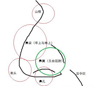 運勢,鼻子,面相