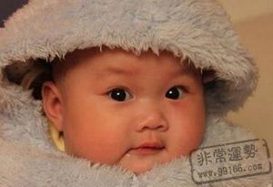 面相,相術,孩童鼻